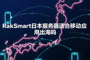 RakSmart