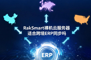 RakSmart