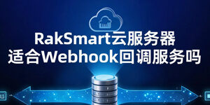 RakSmart