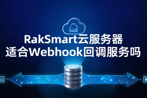 RakSmart