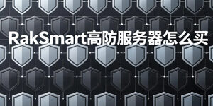 RakSmart