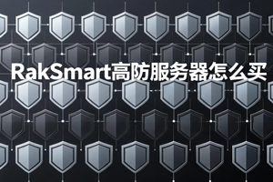 RakSmart