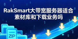 RakSmart