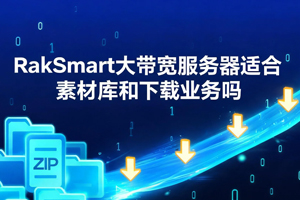 RakSmart
