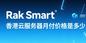 RakSmart