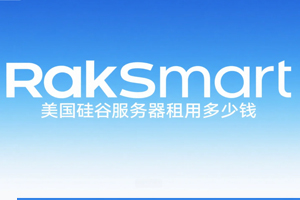 RakSmart