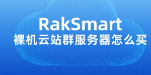 RakSmart