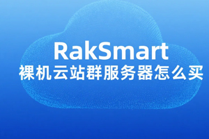 RakSmart