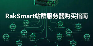 RakSmart