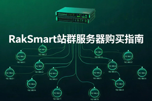 RakSmart