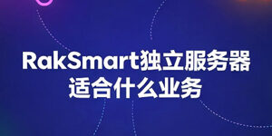 RakSmart