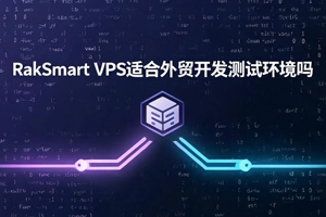 RakSmart