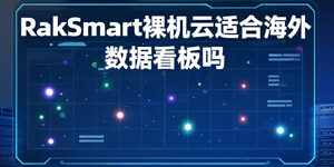 RakSmart