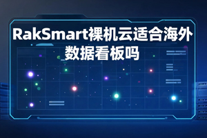 RakSmart