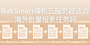 RakSmart