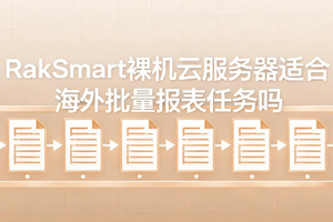 RakSmart