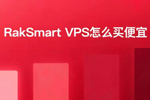 RakSmart