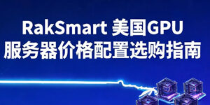RakSmart