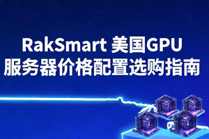 RakSmart