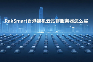 RakSmart