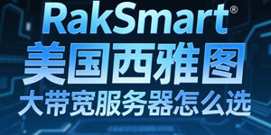 RakSmart
