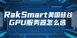 RakSmart
