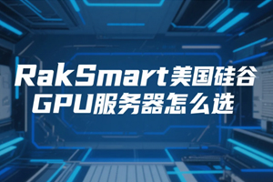 RakSmart