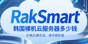 RakSmart