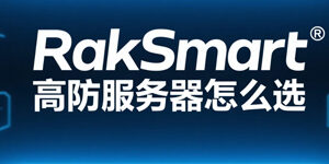 RakSmart
