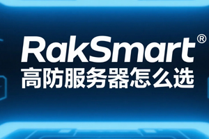 RakSmart