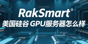 RakSmart