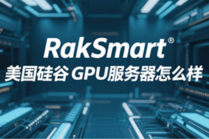 RakSmart