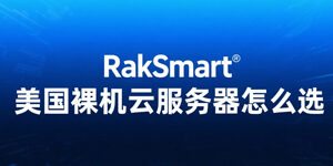 RakSmart