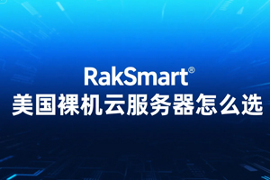 RakSmart