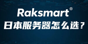 RakSmart