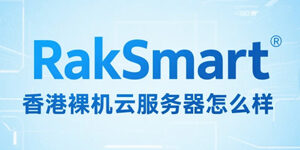 RakSmart