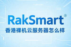 RakSmart