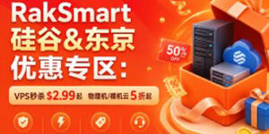 RakSmart