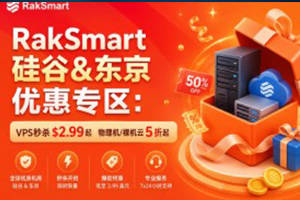 RakSmart