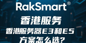 RakSmart