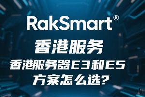RakSmart