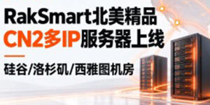 RakSmart