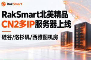 RakSmart